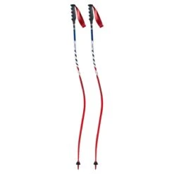 Ski Equipment Store -Ski Equipment Store 20 Swix Composite Race Pole DH