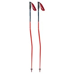 Swix WC Pro Aluminum Ski Pole -Ski Equipment Store 20 Swix WC Race Pole GS