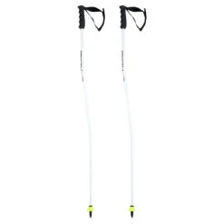 Ski Equipment Store -Ski Equipment Store 2023 HEAD WC GS Poles