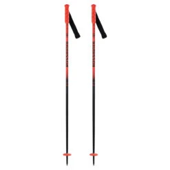 Rossignol JR Hero Ski Pole -Ski Equipment Store 2023 Rossi JR HERO SL Poles 1